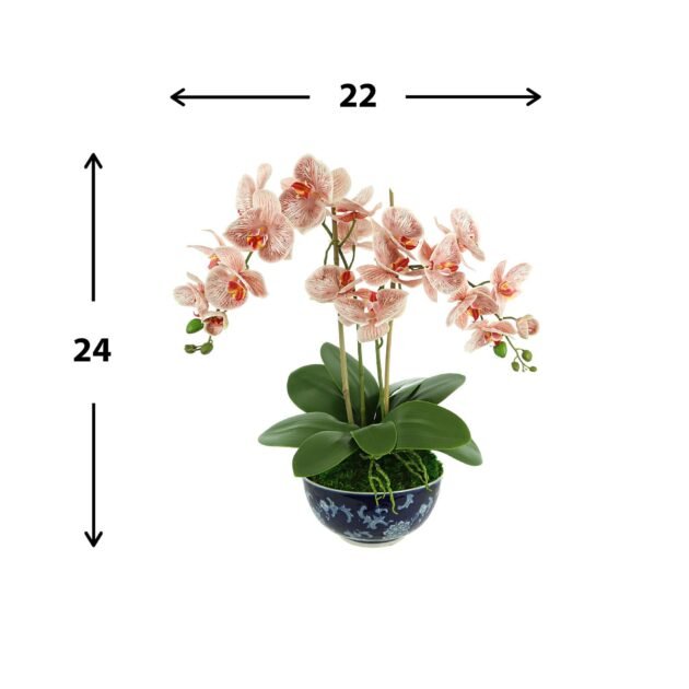 Orchids Arranged in Decorative Ceramic Bowl - Image 2