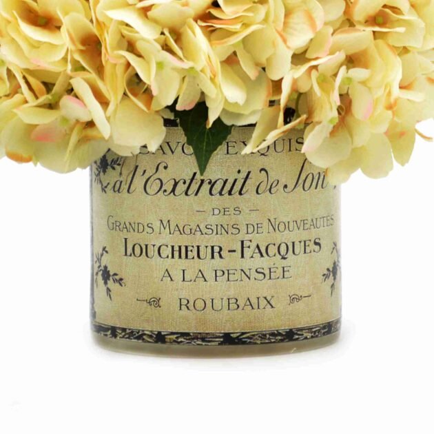 Hydrangea in a Glass Labeled Pot - Image 3