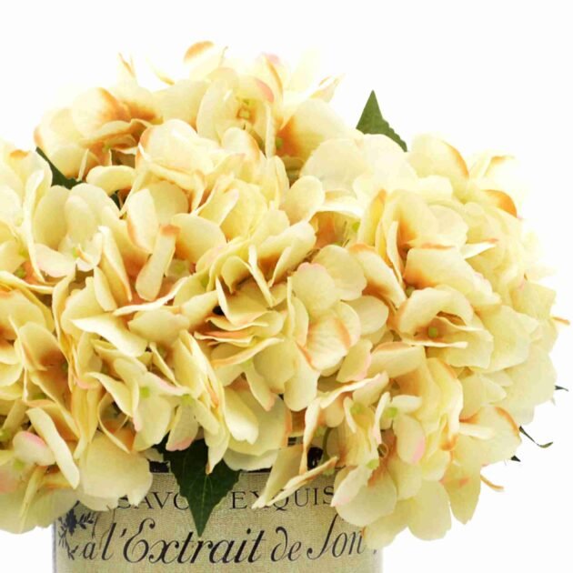 Hydrangea in a Glass Labeled Pot - Image 4