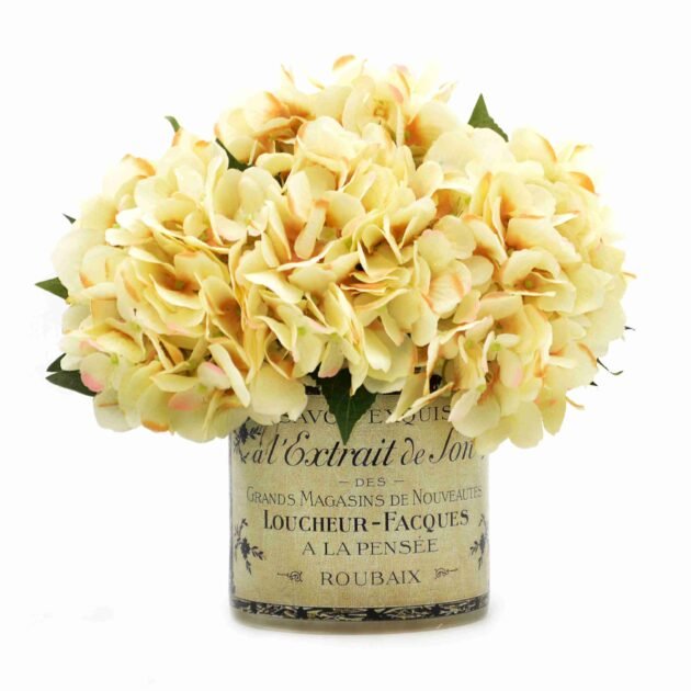 Hydrangea in a Glass Labeled Pot