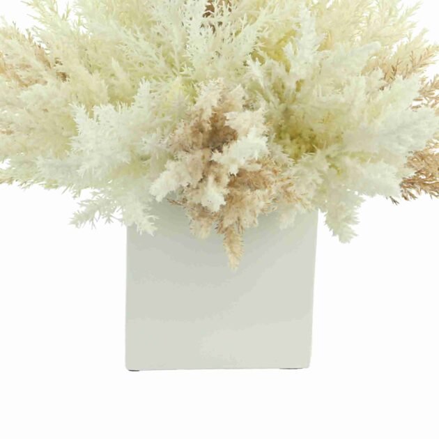 Assorted Pampas Arrangement in a Square Fiberstone Pot - Image 5
