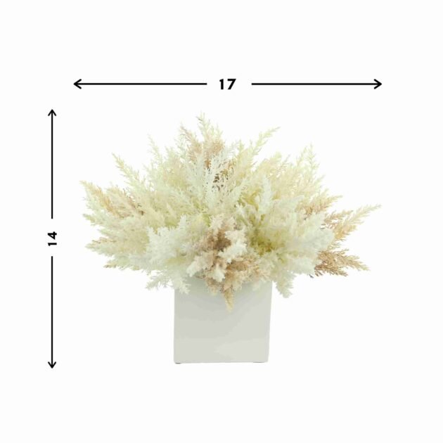 Assorted Pampas Arrangement in a Square Fiberstone Pot - Image 3