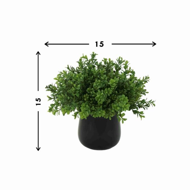 Boxwood Arrangement in a Glass Vase - Image 3