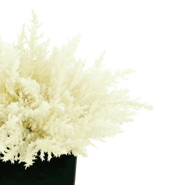 Pampas Grass Arrangement in a Square Planter - Image 4
