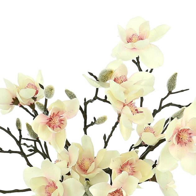 Butterfly Magnolia in Vase - Image 5