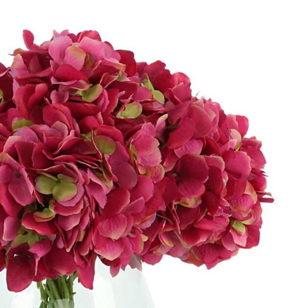 Hydrangea In Glass Vase - Image 4