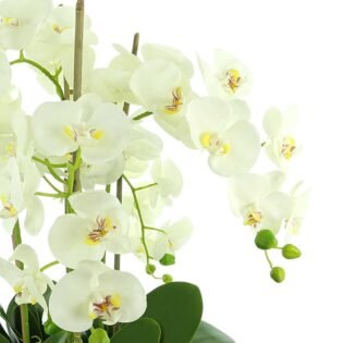 Orchids In Round Fiberstone Planter - Image 2