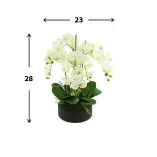 Orchids In Round Fiberstone Planter - Image 4