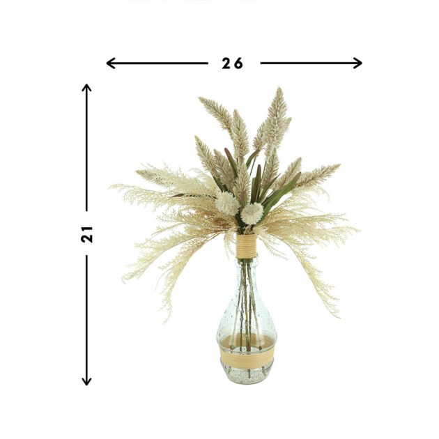 Pampas, Pennisetum In Tall Glass Vase - Image 4