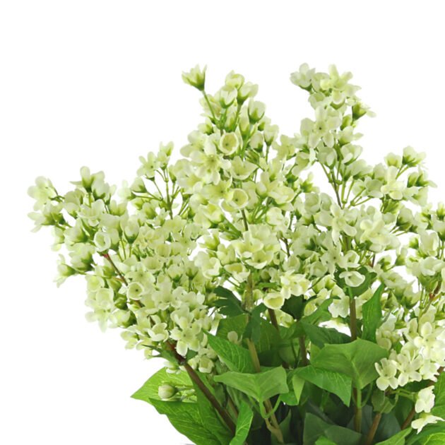 Bouvardia In Glass Vase - Image 2