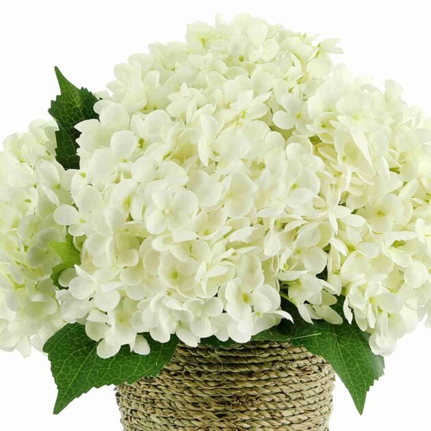 Hydrangea Arrangement in Rope Pot - Image 2