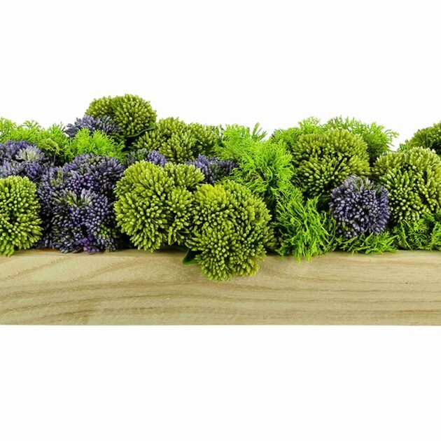 Sedum and Moss Arranged in Wood Planter - Image 4