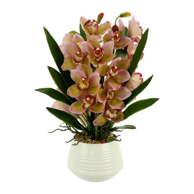 Orchid Arrangement with Rocks in a Ceramic Pot