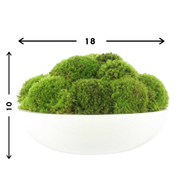 Round Moss Arrangement - Image 5