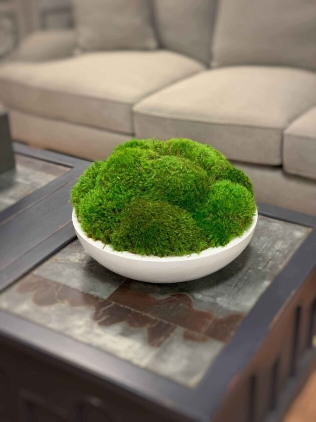 Round Moss Arrangement - Image 2