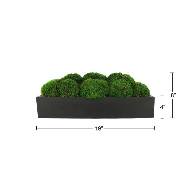 Mood Moss Arranged in a Fiberstone Planter - Image 5