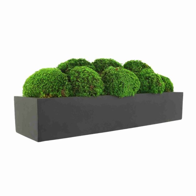 Mood Moss Arranged in a Fiberstone Planter - Image 3