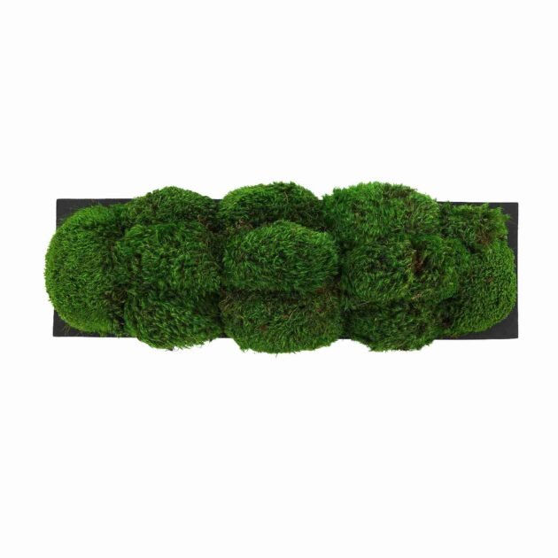 Mood Moss Arranged in a Fiberstone Planter - Image 2