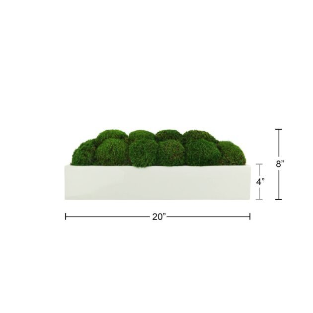 Mood Moss Arrangement in a Glossy Fiberstone Planter - Image 4