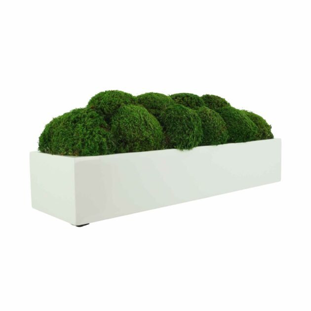 Mood Moss Arrangement in a Glossy Fiberstone Planter - Image 3