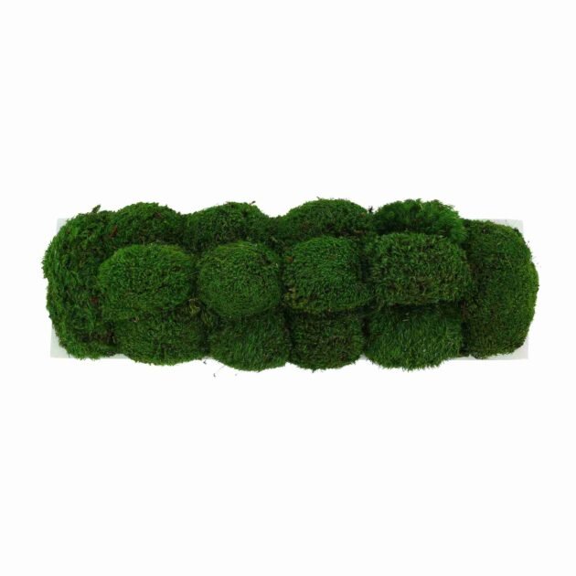 Mood Moss Arrangement in a Glossy Fiberstone Planter - Image 2