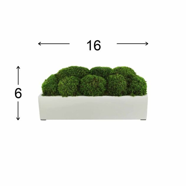 Mood Moss Arranged in Fiberstone Planter - Image 6