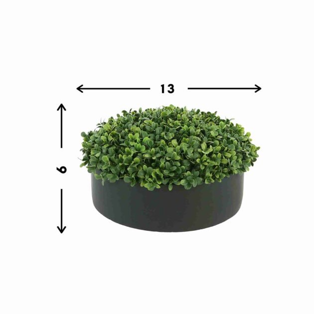 UV Outdoor Boxwood in Fiberstone Planter - Image 3