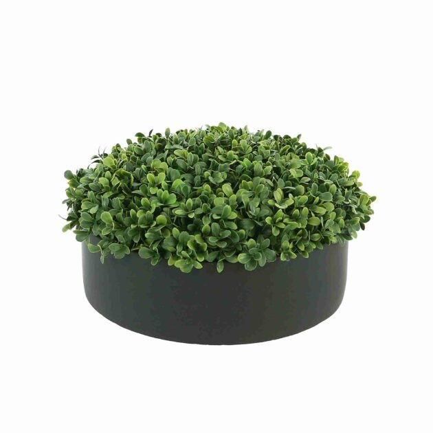 UV Outdoor Boxwood in Fiberstone Planter