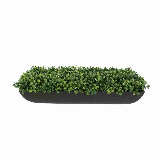 UV Outdoor Boxwood in Fiberstone Planter