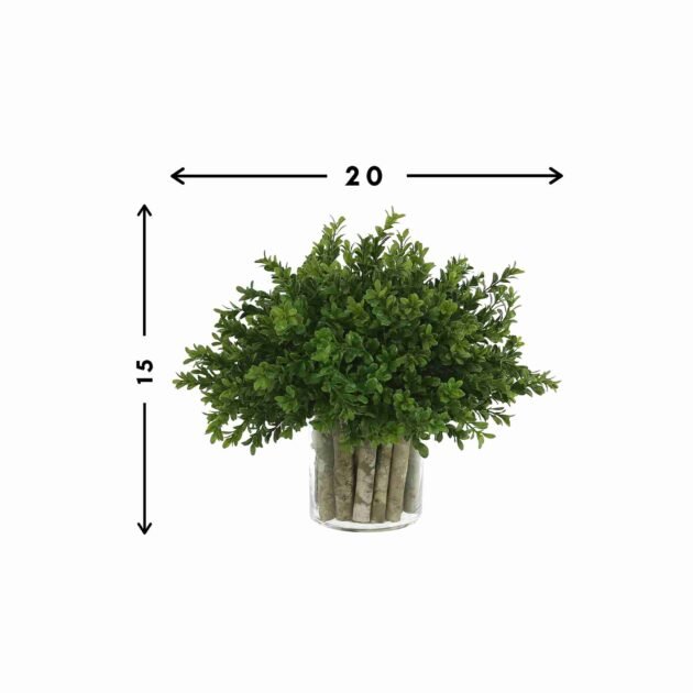 Boxwood in a Glass Vase with Birch Sticks - Image 3