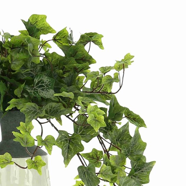 Ivy Arrangement in a Tall Ceramic Vase - Image 4