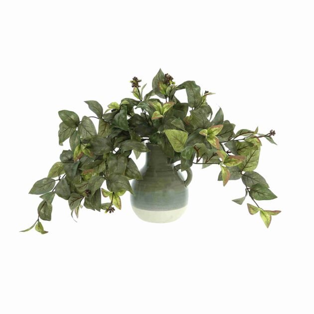 Ivy Arranged in Ceramic Vase with Handle