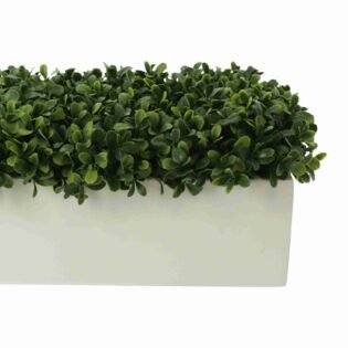 Outdoor UV Boxwoods in a Rectangular Planter - Image 3