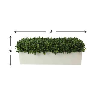 Outdoor UV Boxwoods in a Rectangular Planter - Image 2