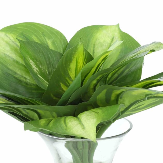 Hosta Arrangement in a Clear Glass Vase - Image 3