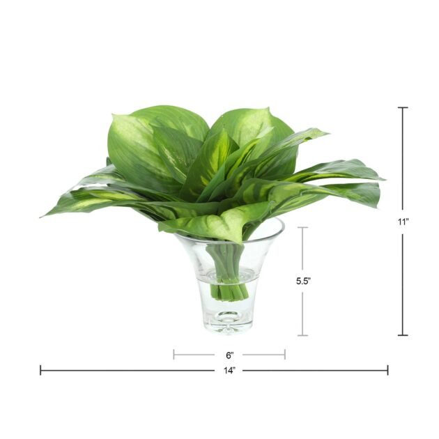 Hosta Arrangement in a Clear Glass Vase - Image 2