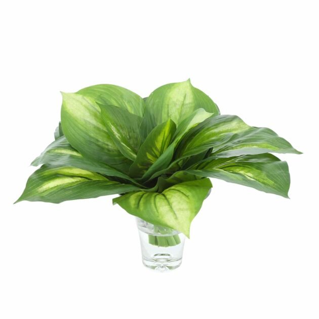 Hosta Arrangement in a Clear Glass Vase - Image 5