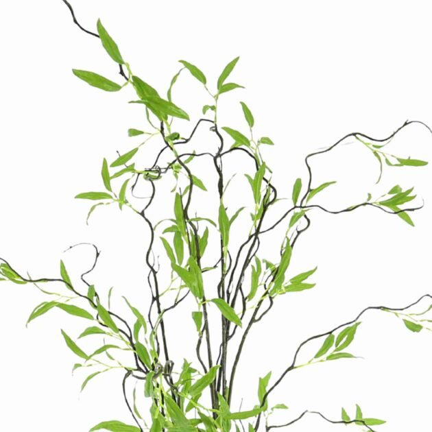 Willow Branch Arranged in Tall Glass Vase - Image 4