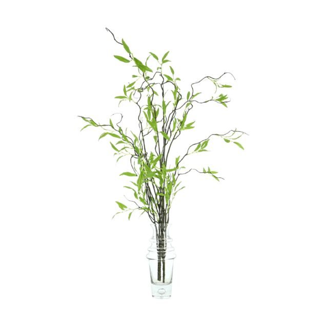Willow Branch Arranged in Tall Glass Vase
