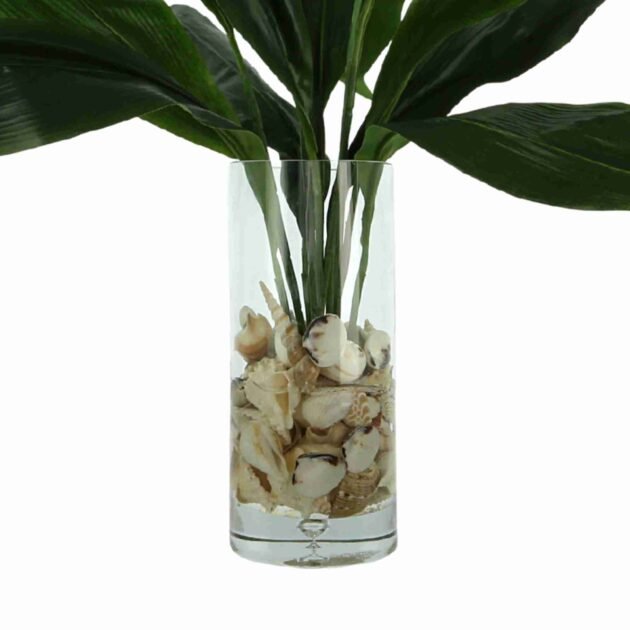 Aspidistra Leaf Arranged with Shells - Image 5