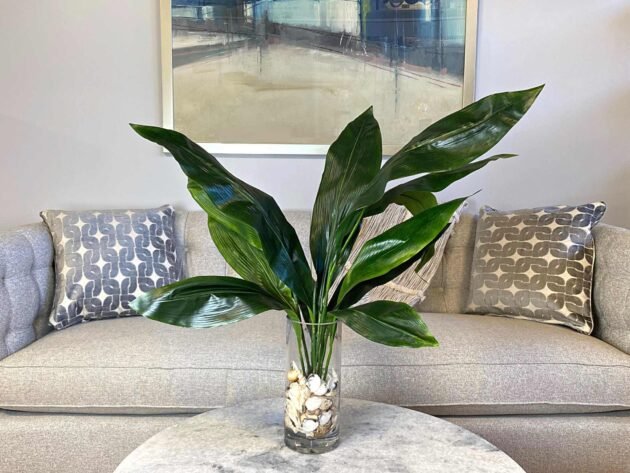 Aspidistra Leaf Arranged with Shells - Image 2