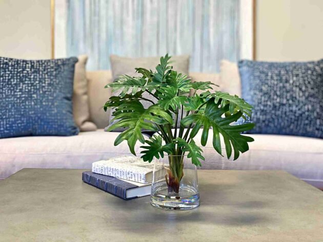 Split Philo Leaf Arrangement in Glass Vase - Image 3