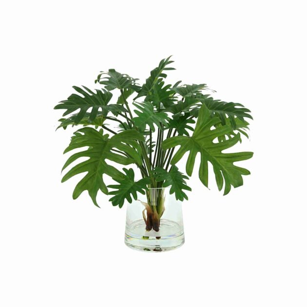 Split Philo Leaf Arrangement in Glass Vase