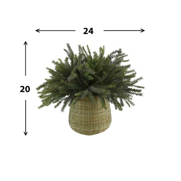 Frosted Fern Arrangement in a Bamboo Planter - Image 4