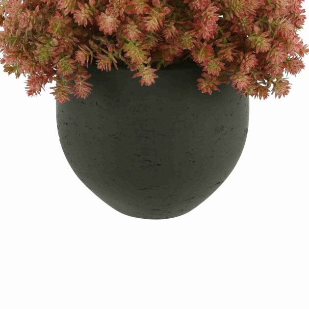 Sedum Arrangement in a Fiberstone Pot - Image 4