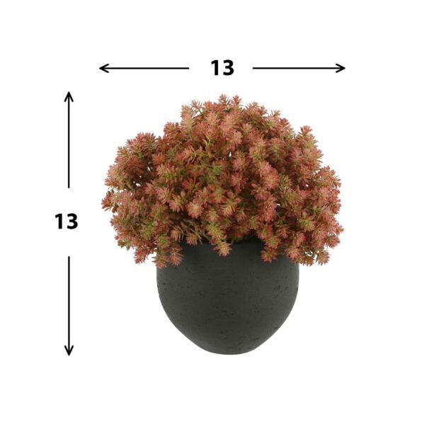 UV Rated Outdoor Boxwood in Square Pot - Image 2