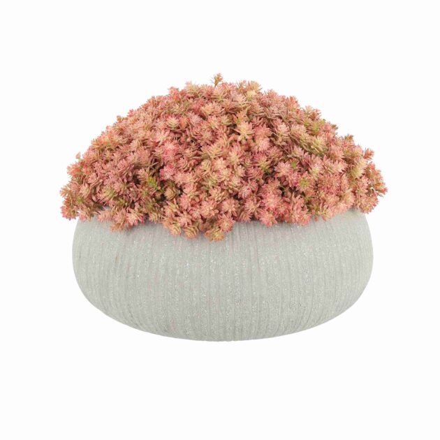 Pink Sedum Arrangement in a Round Planter