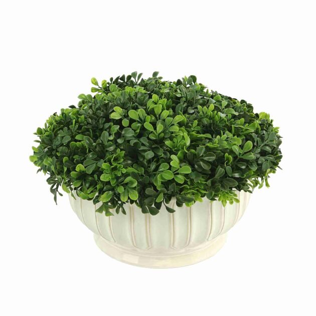 Green Boxwood Arrangement