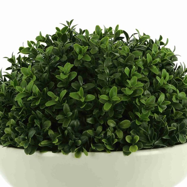 Artificial Boxwood in Ceramic Pedestal Vase - Image 4