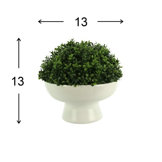 Artificial Boxwood in Ceramic Pedestal Vase - Image 3